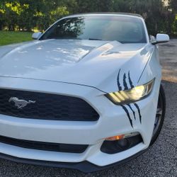 Mustang 2015 V6 Convertible 