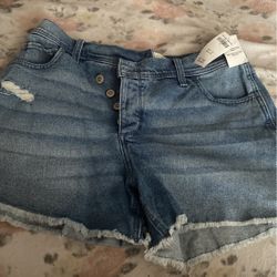 Hollister Shorts