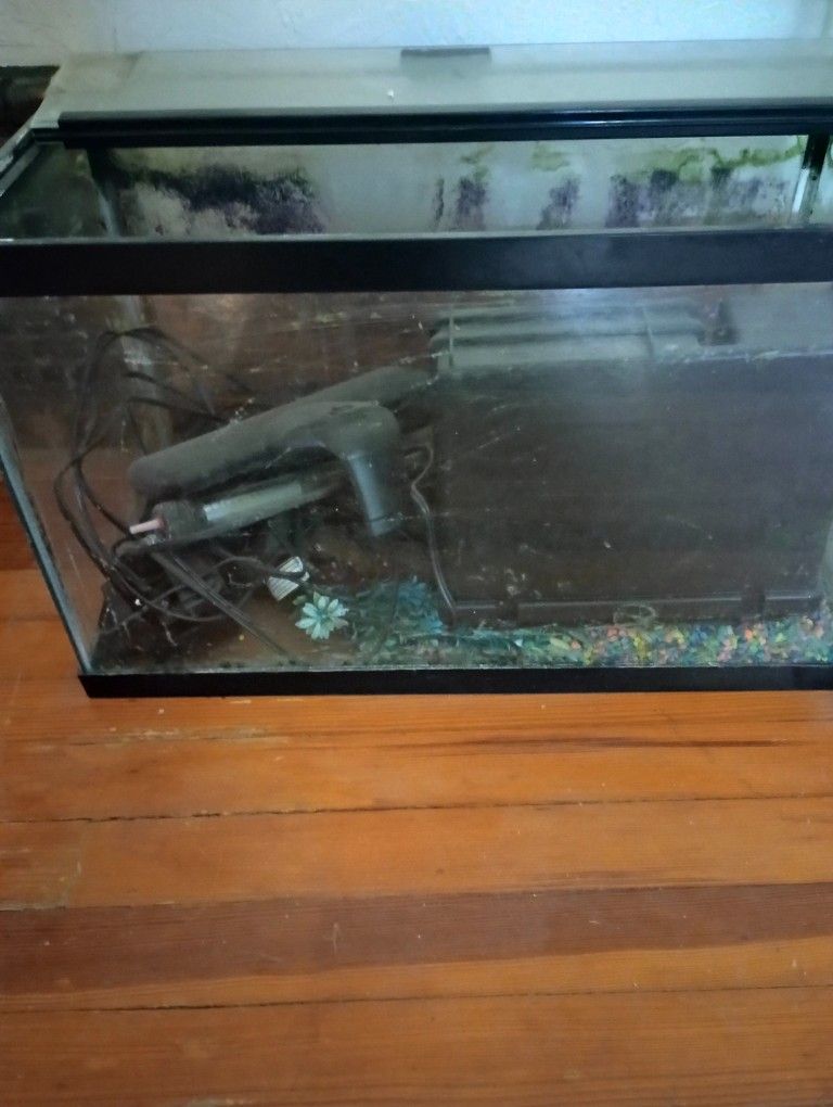 10 Gallon Fish Tank Full Set Up, And 55 Gallon Large Tank