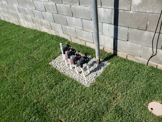 New sprinkler system