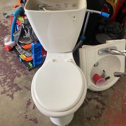 sink/ toilet