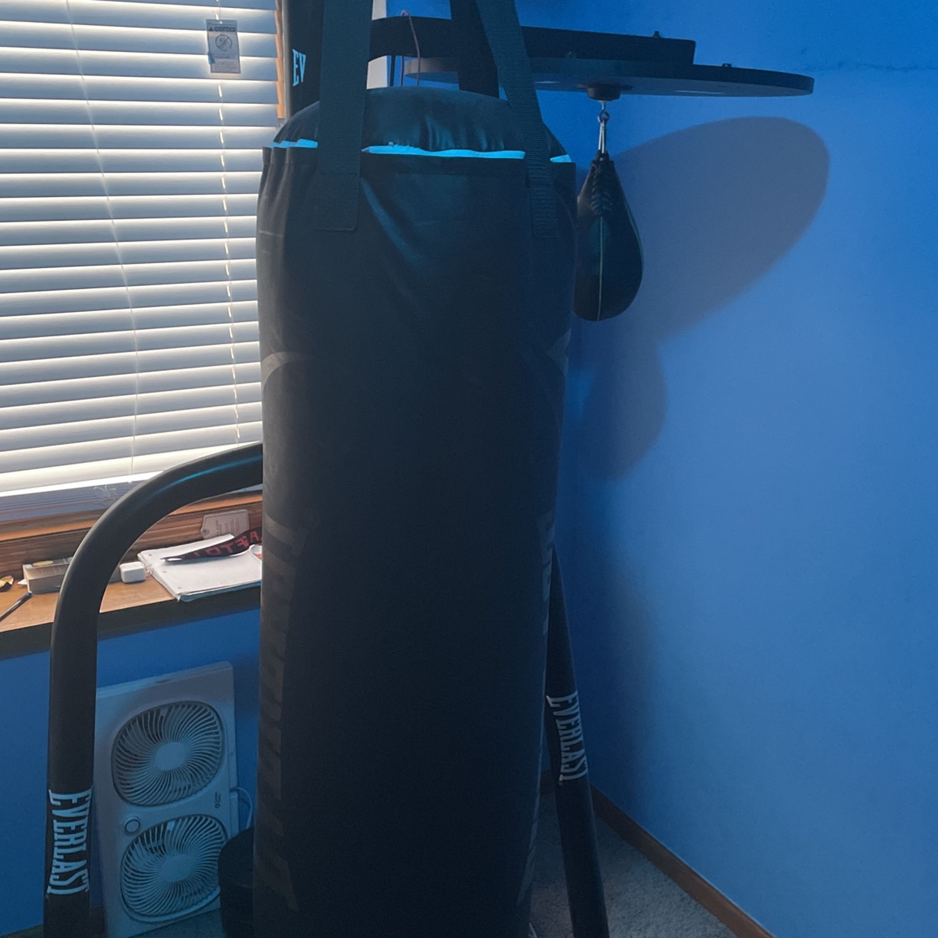 Everlast Punching Bag