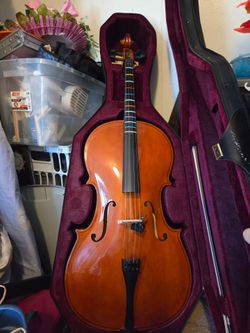 Adult 4x4 cello