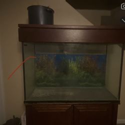 Fish Tank 110 Gallons