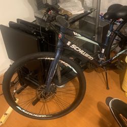 Schwinn Circuit Bike