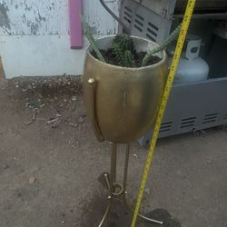 Cacti Plant In Gold Stand 