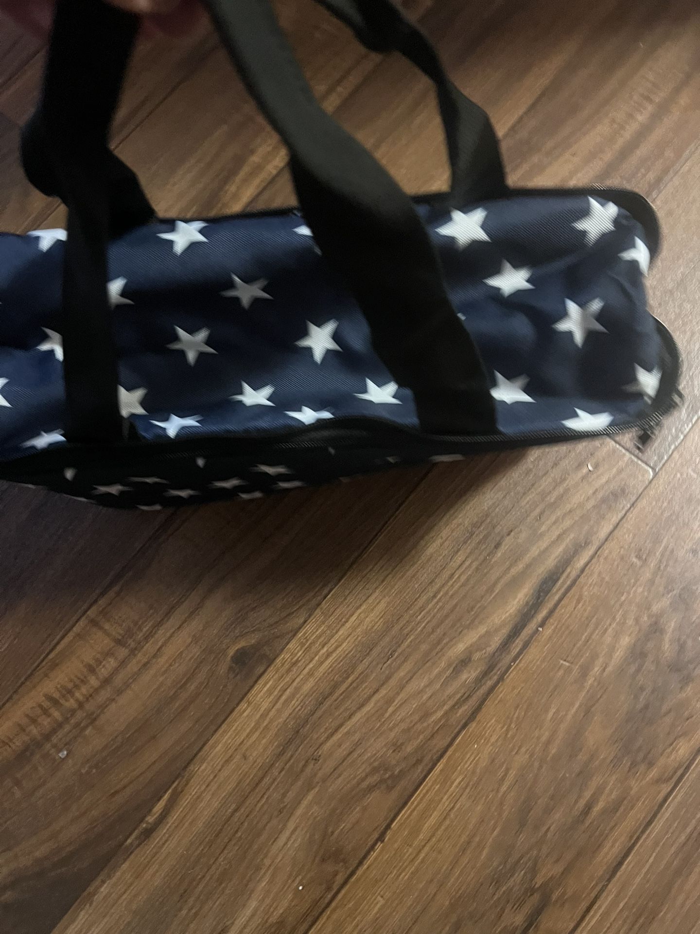 Cooler Bag / Beach Bag