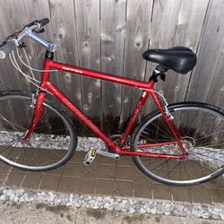 Specialized 