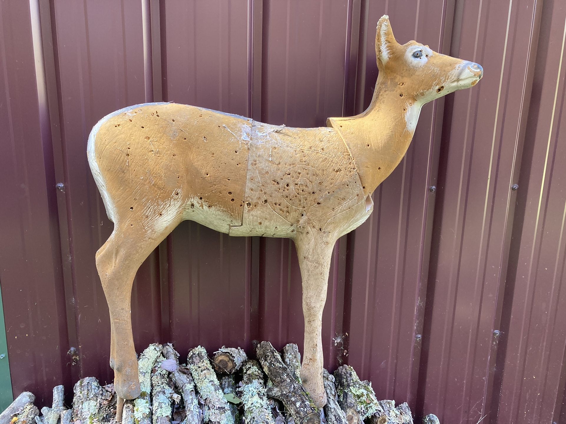 Archery TARGET