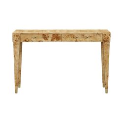 TOV FURNITURE BRANDYSS 48" BURL 2-DRAWER WORK DESK
