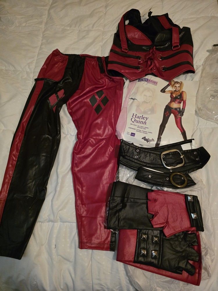 sexy lingerie picture galleries Sexy Harley Quinn Costume