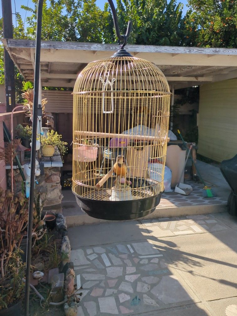 bird cage 