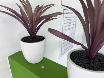 Fake Plants Attached To Pots.