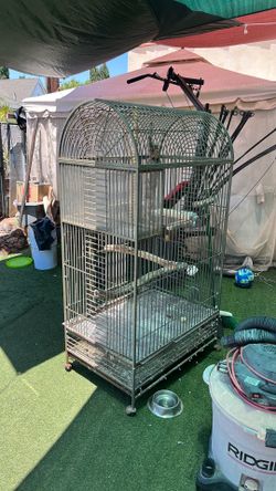 Parrot cage