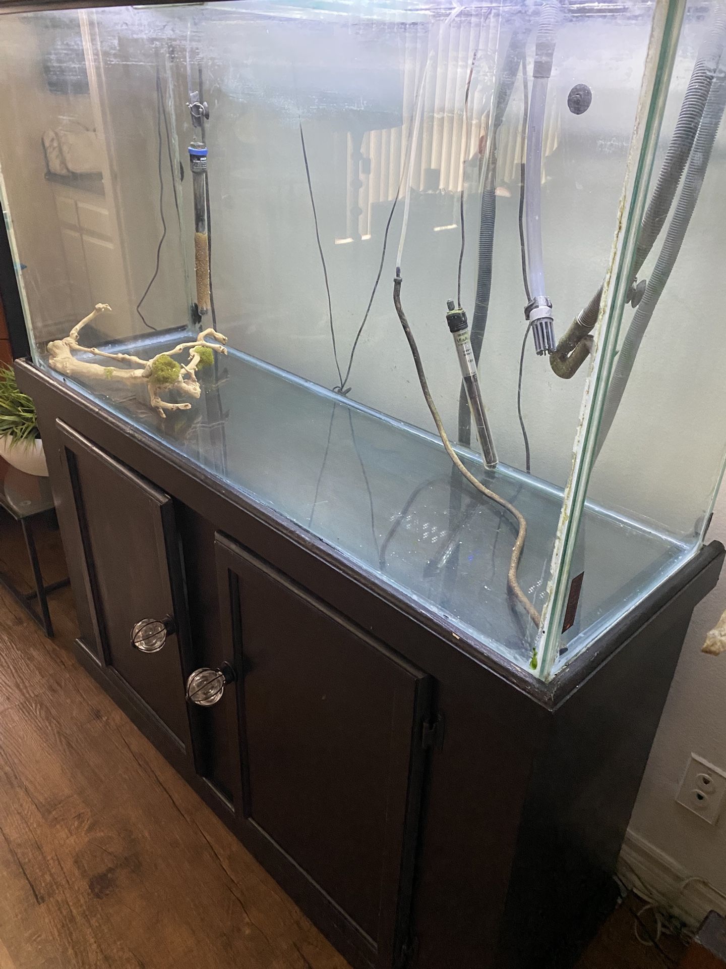 Fish Tank