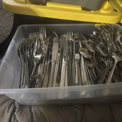Tub Of Silverware