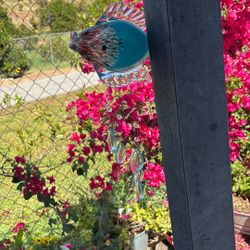 GLASS FISH CHIME
