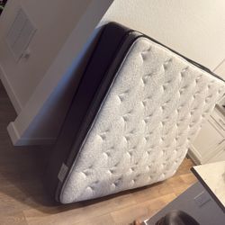Brand new pillow Top Bed Only 