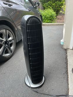 Fan