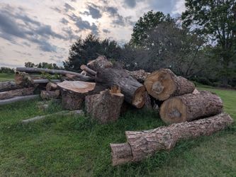 Free Hardwood Logs