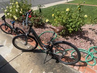 Trek Navigator 2.0 Adult Cruiser Bicycle