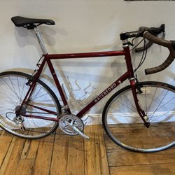 Waterford RST-14 Road/Touring Bike