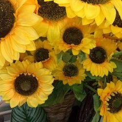 New 3ft Long Steam Sunflower 9 each Buy More Pay 8 High Quality 
