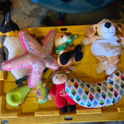 Stuffed Animals 