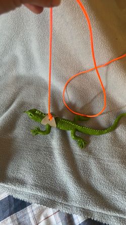 Green lizard with a string
