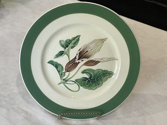 Vintage Myott Molly O'Day Art Deco botanical plate. 10” Signed By A.C. Williams