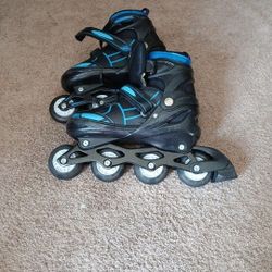 Roller Blades Size Large 38-41