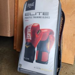 Everlast Boxing  Gloves 12oz