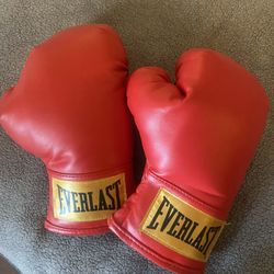 Youth Boxing Gloves S/m  Very New