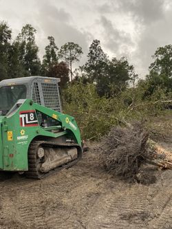 Jose’s Land Clearing