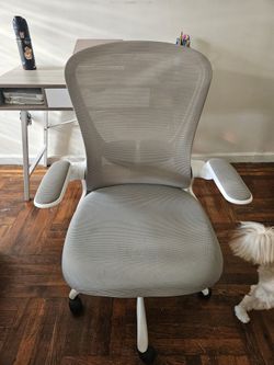 Ergonomic Mesh Office Chair with Flip-Up Armrests – Gray