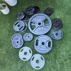 Olympic And Standard Weights