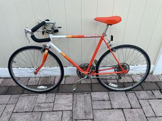 21” Iverson Grand Sport 10 speed men’s road bike