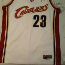 LeBron James Rookie Year Nike Jersey