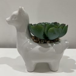 Ceramic Animal Planter w/Faux Succulent