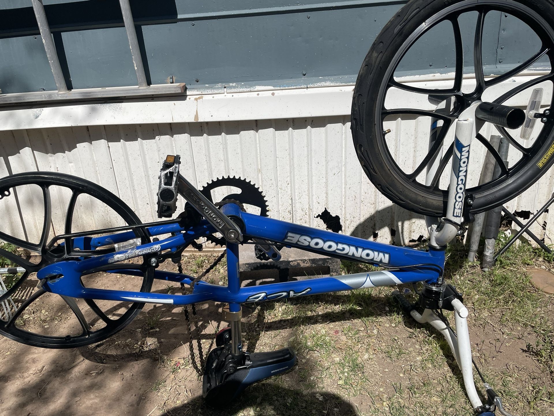 2004 Mongoose Ace bmx for Sale in Los Rnchs Abq NM OfferUp