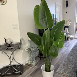 Pretty Artificial Plant 5 Ft Tall With Tall Plantar! Brand New ( Ask For Price) 