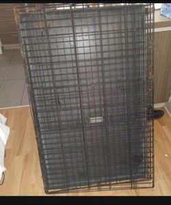 Used dog cage