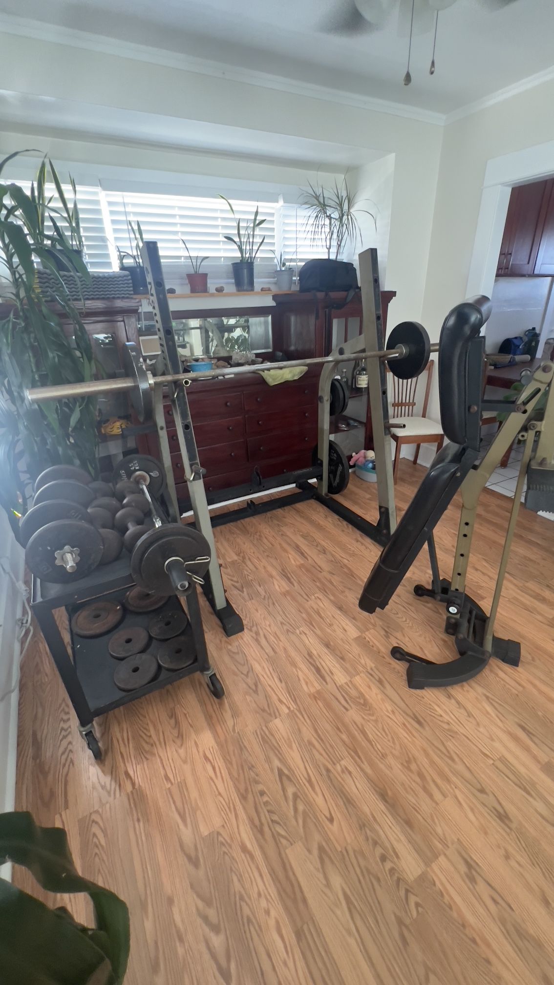 Workout Gym Equipment 