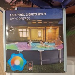 Pool Lights 