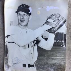 Vintage Harry Perkowski Cincinnati Redlegs Autographed Photo 16 X 20” As Is!