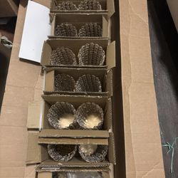 More Pictures Of The Centerpieces