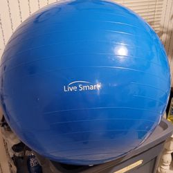 Live Smart By York Exercise Ball With Air Pump