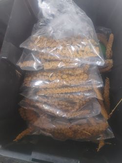 Honey millet