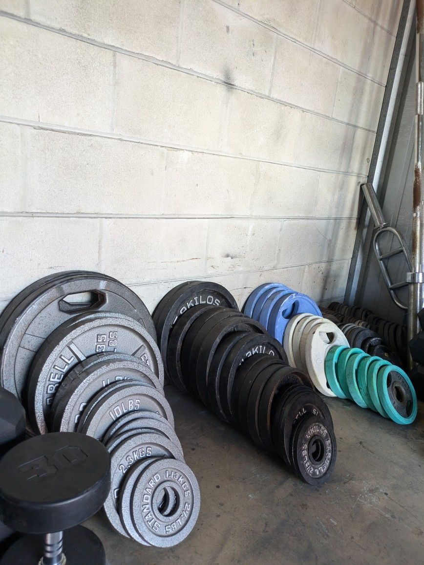 Olympic Plates, Dumbbells, Barbells, Benches, Racks, And More!