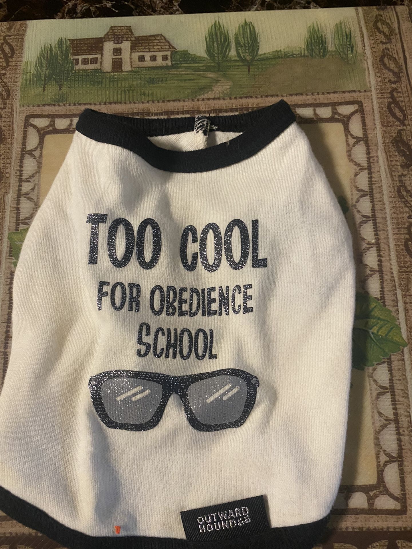 Extra small dog shirt